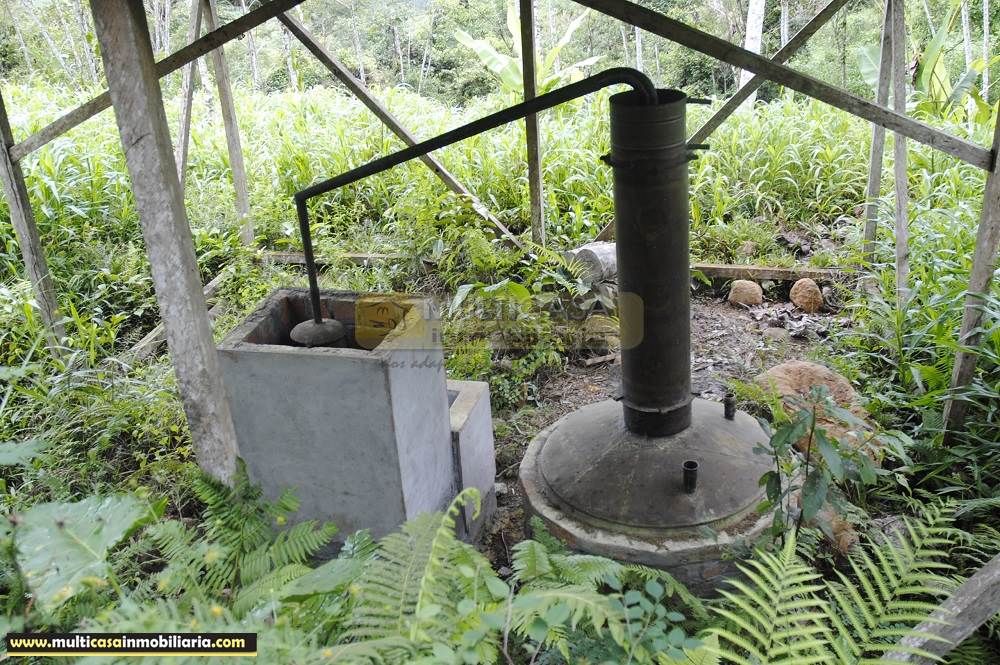 Quinta en Venta a crédito ideal para Cultivo sector Logroño Macas - Ecuador