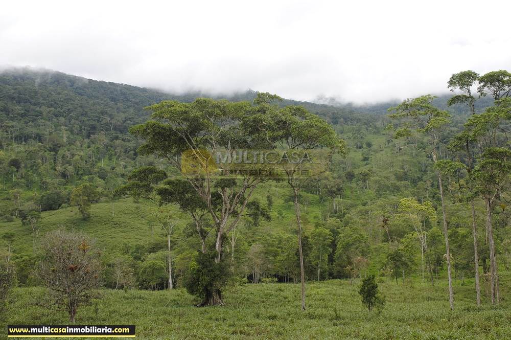Quinta en Venta a crédito ideal para Cultivo sector Logroño Macas - Ecuador