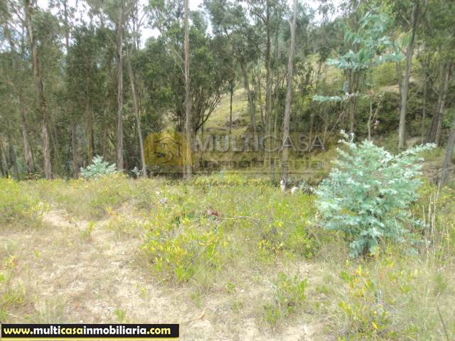 Terreno en Venta a Crédito sector Zhizhiquin Azogues - Ecuador