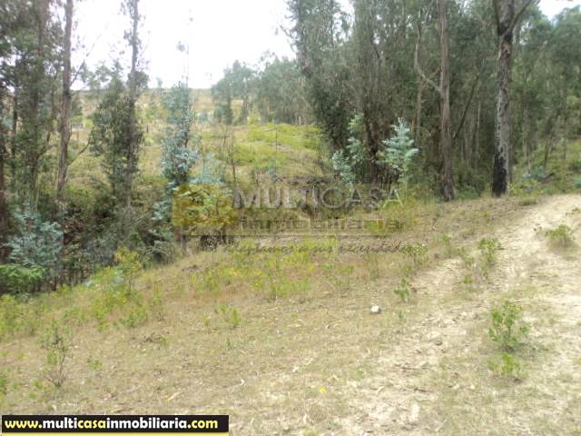 Terreno en Venta a Crédito sector Zhizhiquin Azogues - Ecuador