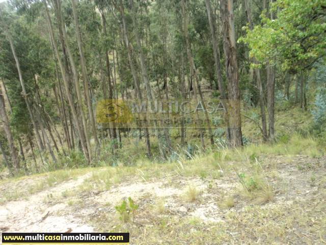 Terreno en Venta a Crédito sector Zhizhiquin Azogues - Ecuador
