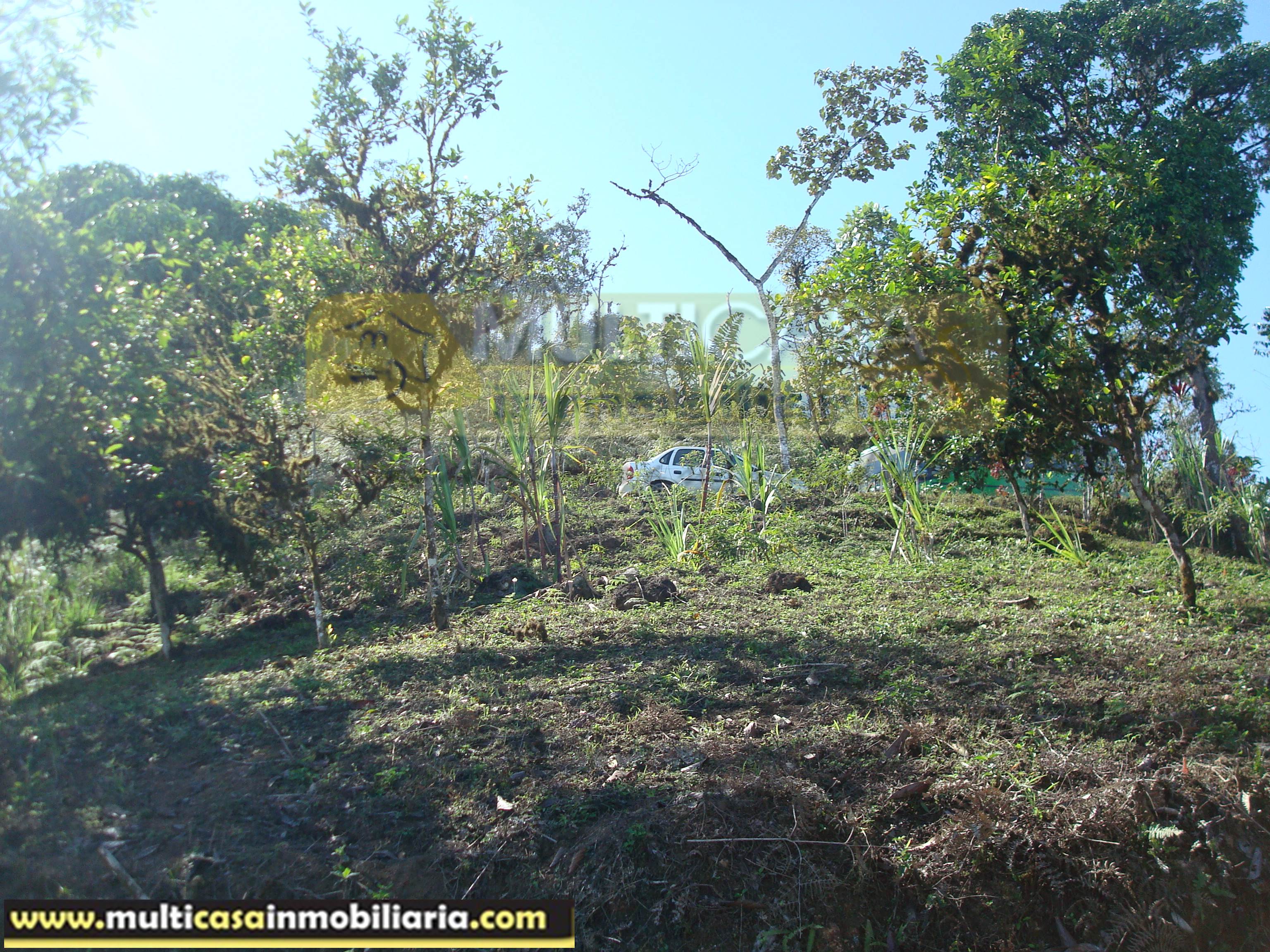 Hacienda en Venta a crédito sector Molleturo-Vía Guayaquil Cuenca - Ecuador