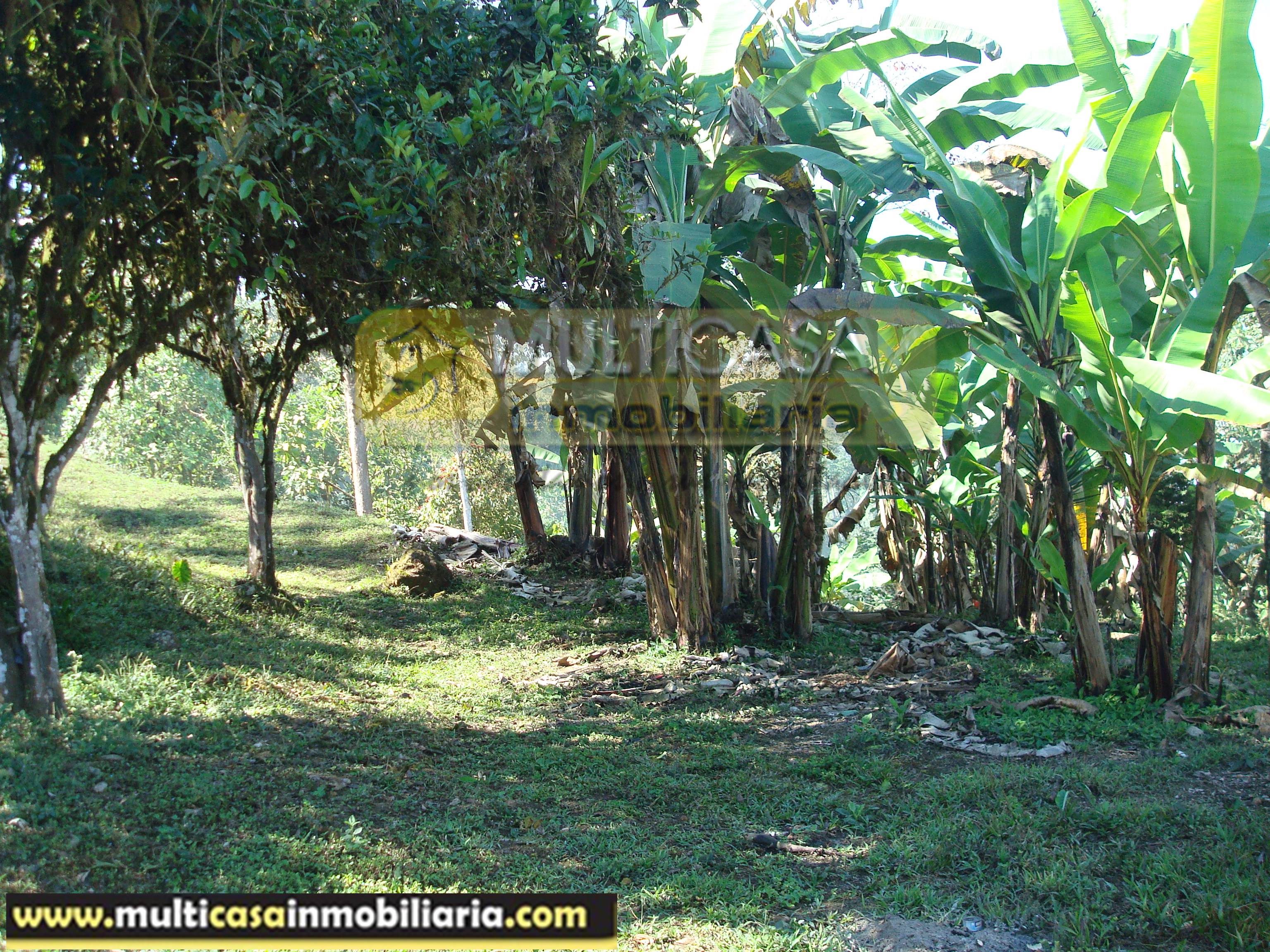 Hacienda en Venta a crédito sector Molleturo-Vía Guayaquil Cuenca - Ecuador