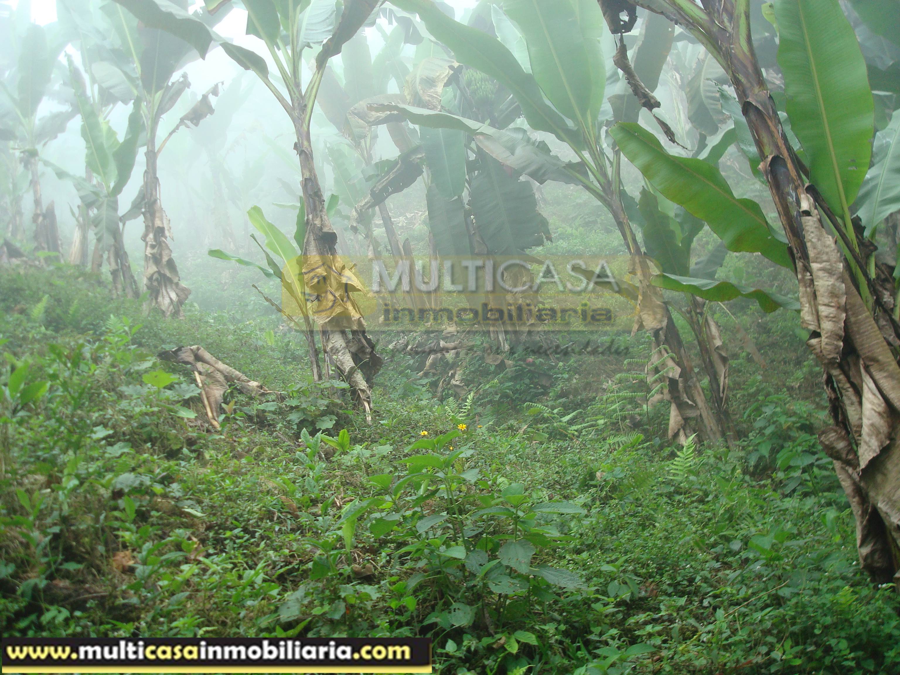 Hacienda en Venta a crédito sector Molleturo-Vía Guayaquil Cuenca - Ecuador
