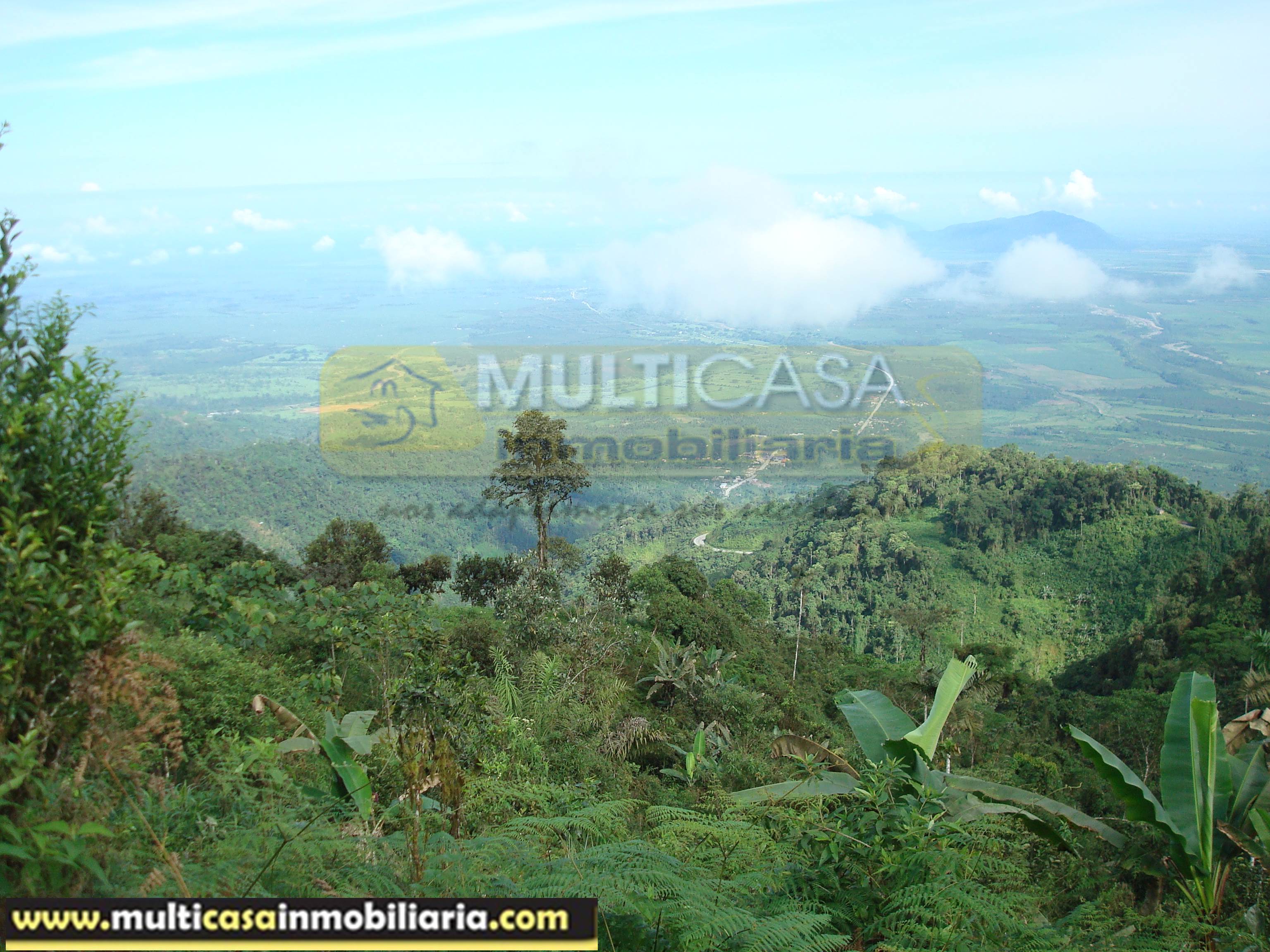 Quinta en Venta a crédito sector Molleturo-Vía Guayaquil Cuenca-Ecuador