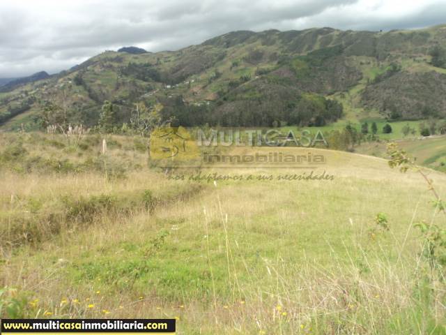 Terreno en Venta a crédito con Servicios básicos sector San Antonio Alto Cumbe - Ecuador