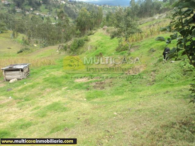 Terreno en Venta a Crédito de 5 Hectáreas Sector Icto Cruz (Turi) Cuenca - Ecuador