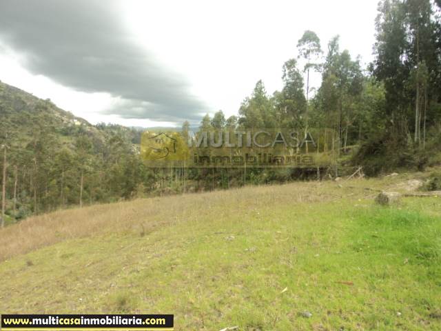 5 Hectareas de Terreno en Venta a Crédito de  Sector Icto Cruz (Turi) Cuenca - Ecuador
