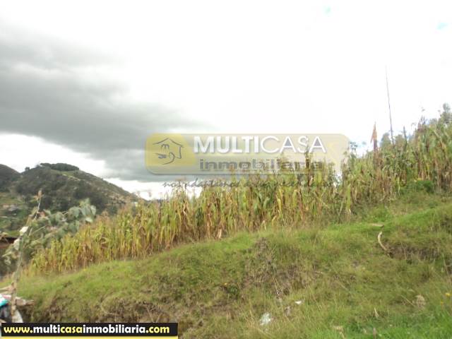 5 Hectareas de Terreno en Venta a Crédito de  Sector Icto Cruz (Turi) Cuenca - Ecuador