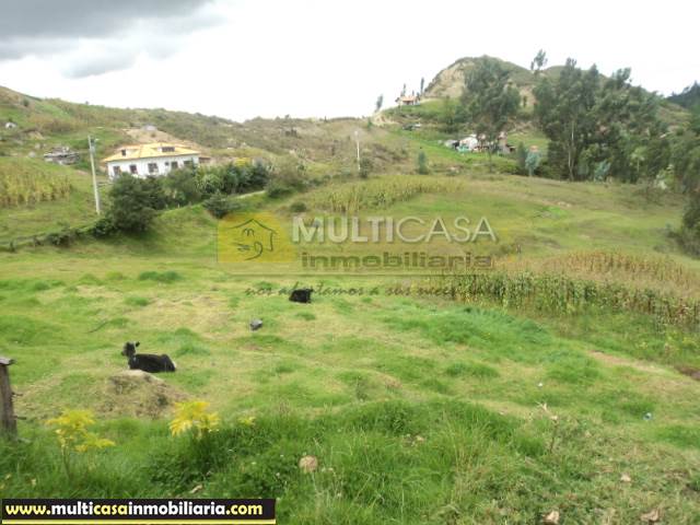 5 Hectareas de Terreno en Venta a Crédito de  Sector Icto Cruz (Turi) Cuenca - Ecuador
