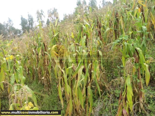 5 Hectareas de Terreno en Venta a Crédito de  Sector Icto Cruz (Turi) Cuenca - Ecuador