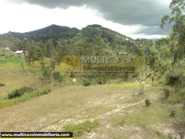 5 Hectareas de Terreno en Venta a Crédito de  Sector Icto Cruz (Turi) Cuenca - Ecuador