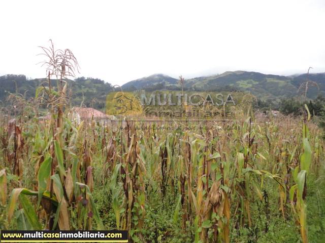 Sitio en Venta a crédito Sector Misicata Cuenca - Ecuador