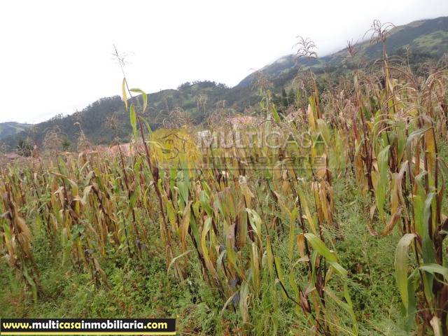Sitio en Venta a crédito Sector Misicata Cuenca - Ecuador