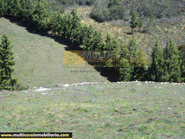 Quinta en Venta a Crédito Sector La Paz Cuenca-Ecuador