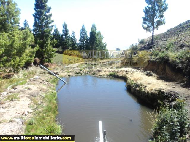 Quinta en Venta a Crédito Sector La Paz Cuenca-Ecuador