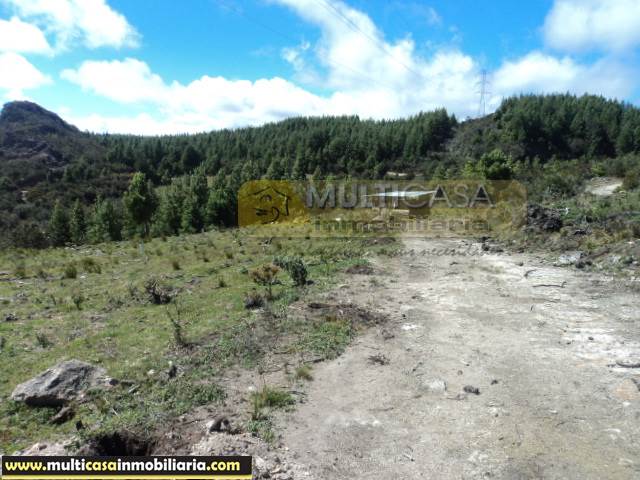 Quinta en Venta a Crédito Sector La Paz Cuenca-Ecuador