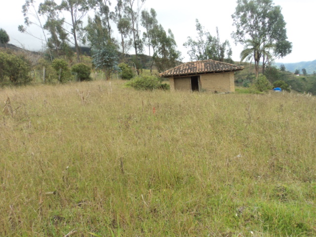 Venta de Hermoso Terreno a crédito sector Pirincay Alto Paute - Ecuador