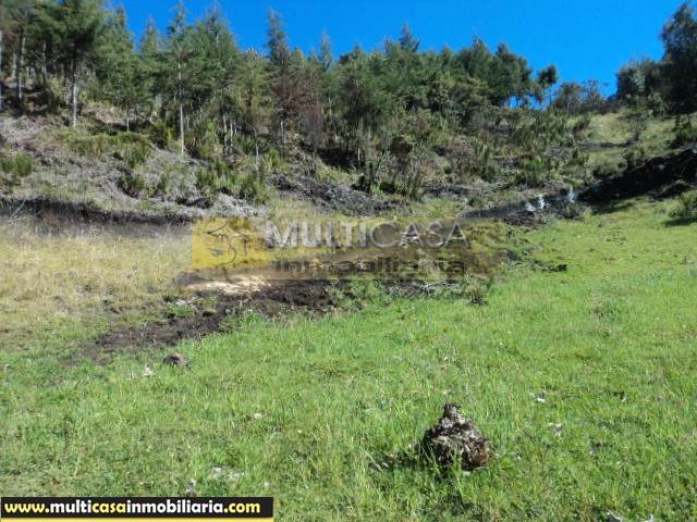 Venta de Hermoso Terreno a crédito sector Chiquintad Cuenca - Ecuador