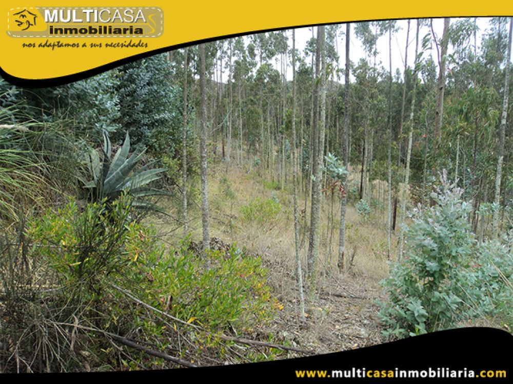 Venta de Hermoso Terreno a crédito sector Solano Cuenca - Ecuador