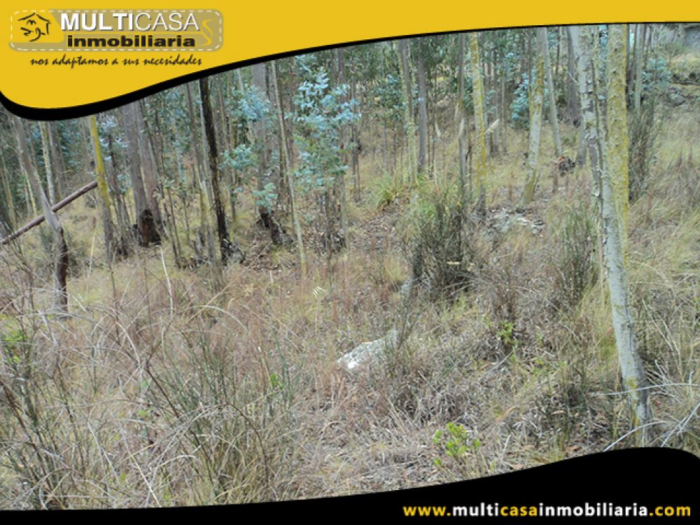 Venta de Hermoso Terreno a crédito sector Solano Cuenca - Ecuador