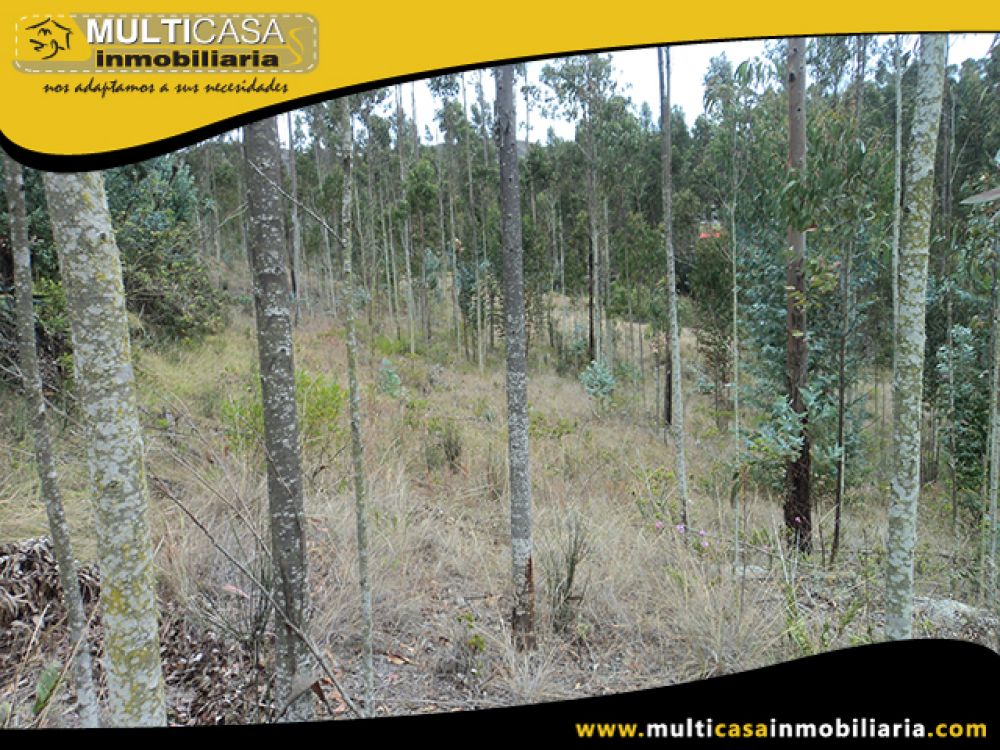 Venta de Hermoso Terreno a crédito sector Solano Cuenca - Ecuador