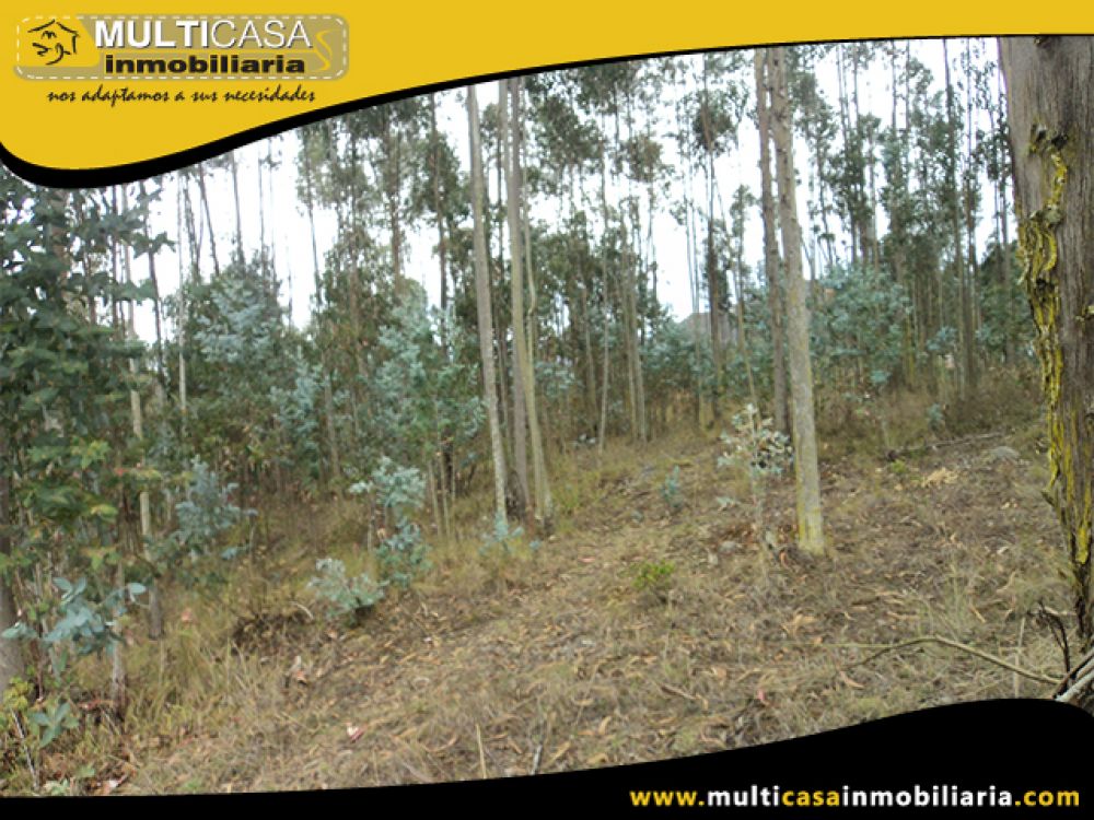 Venta de Hermoso Terreno a crédito sector Solano Cuenca - Ecuador