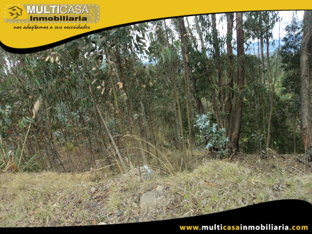Venta de Hermoso Terreno a crédito sector Solano Cuenca - Ecuador
