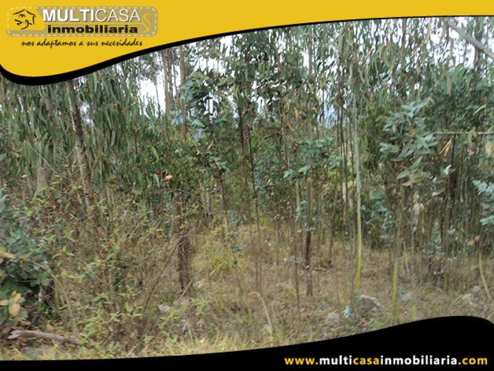 Venta de Hermoso Terreno a crédito sector Solano Cuenca - Ecuador