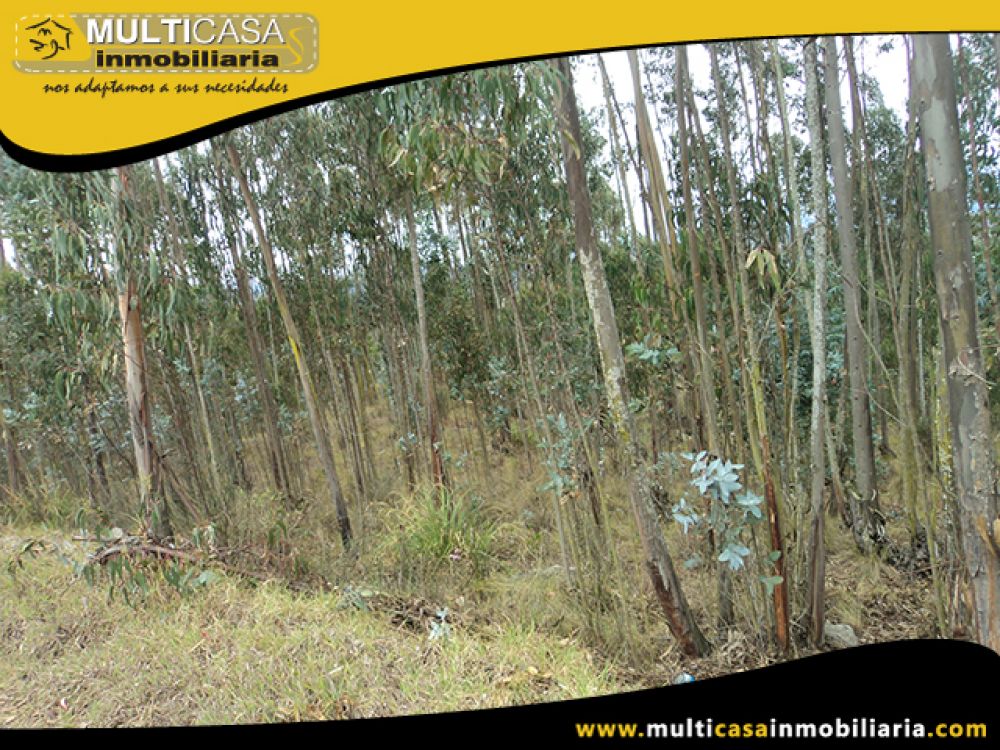 Venta de Hermoso Terreno a crédito sector Solano Cuenca - Ecuador