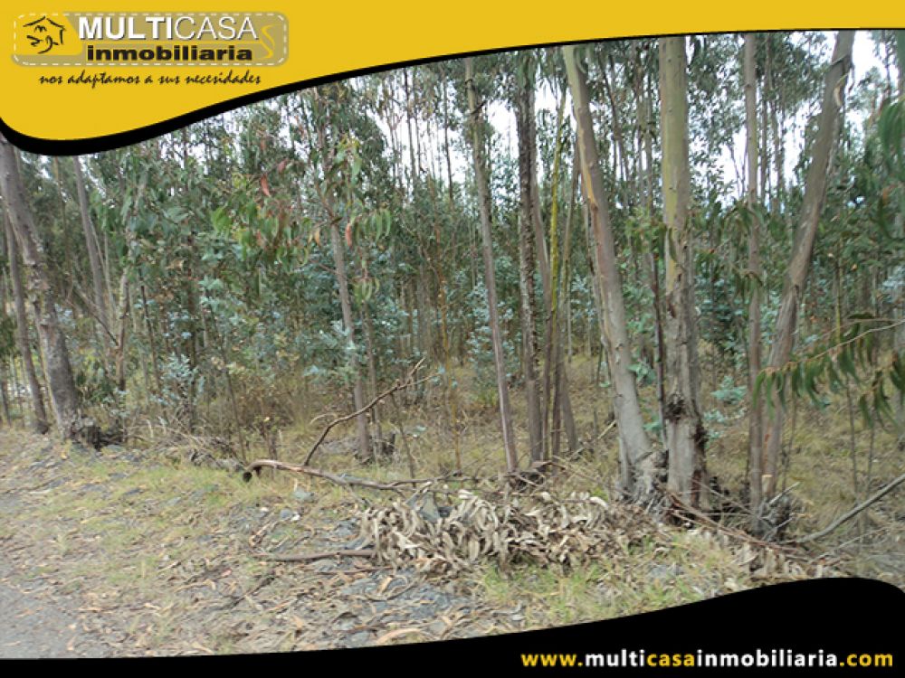 Venta de Hermoso Terreno a crédito sector Solano Cuenca - Ecuador
