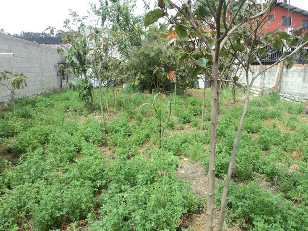 Terreno en Venta a Crédito  Sector Uncovia Cuenca - Ecuador.