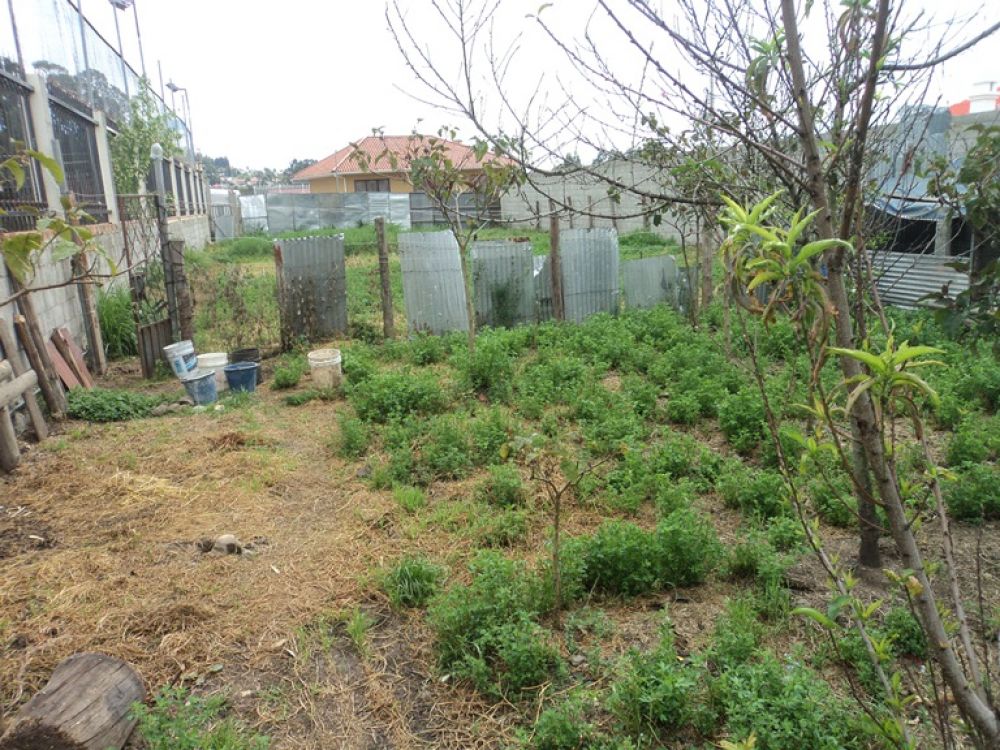 Terreno en Venta a Crédito  Sector Uncovia Cuenca - Ecuador.
