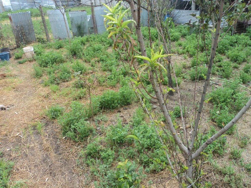 Terreno en Venta a Crédito  Sector Uncovia Cuenca - Ecuador.
