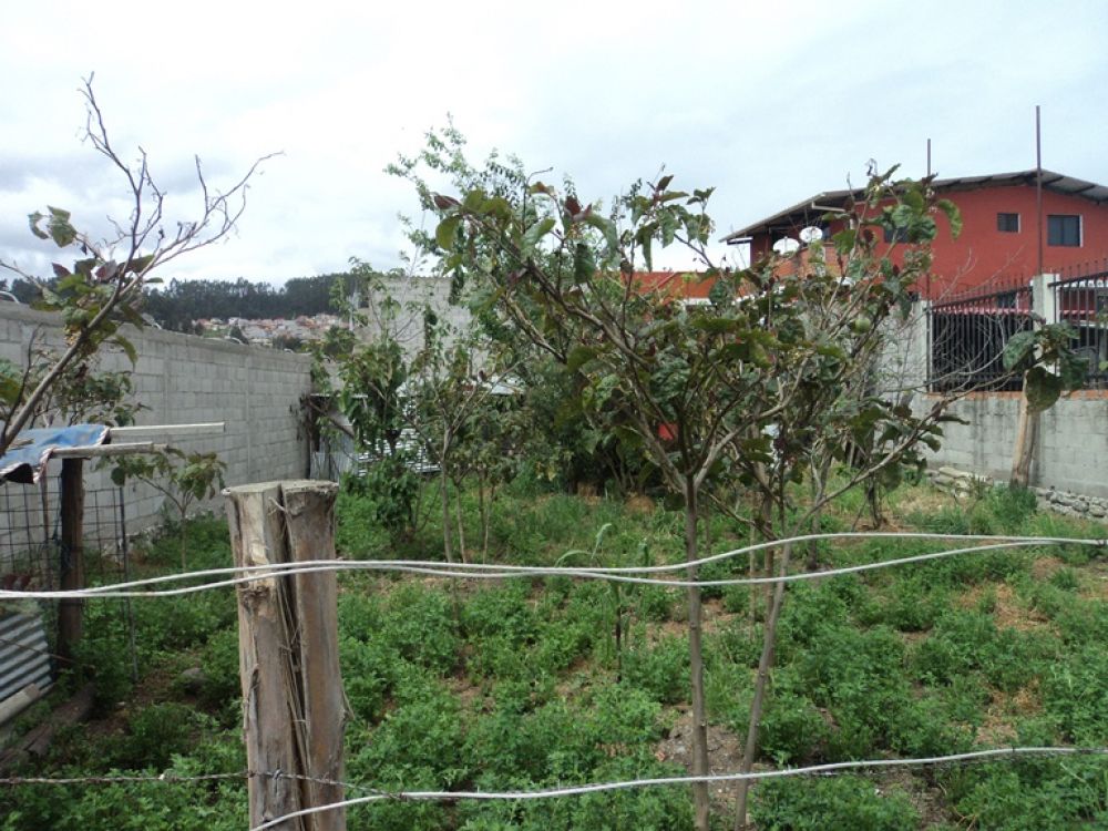 Terreno en Venta a Crédito  Sector Uncovia Cuenca - Ecuador.