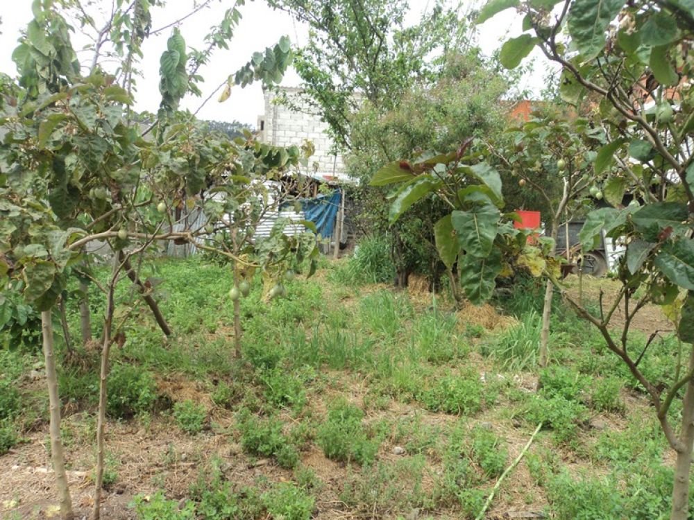 Terreno en Venta a Crédito  Sector Uncovia Cuenca - Ecuador.