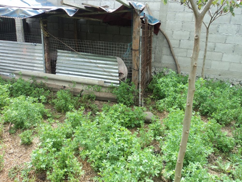 Terreno en Venta a Crédito  Sector Uncovia Cuenca - Ecuador.