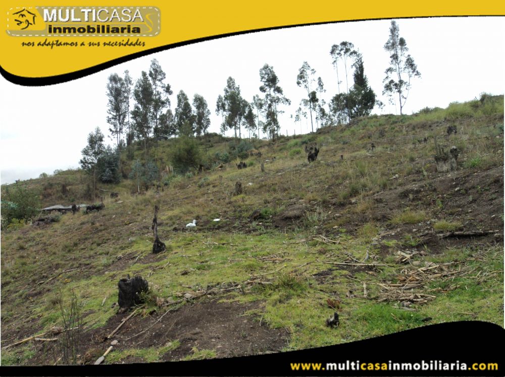 Sitio en Venta a Crédito  Sector Bellavista-Turi Cuenca-Ecuador
