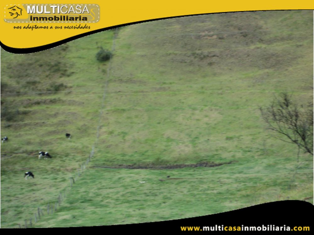 Terreno en Venta a Crédito Sector Totorillas Tarqui -Ecuador