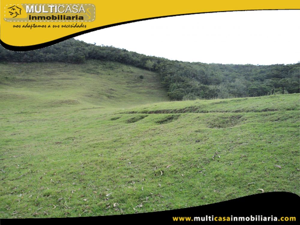 Terreno en Venta a Crédito Sector Totorillas Tarqui -Ecuador