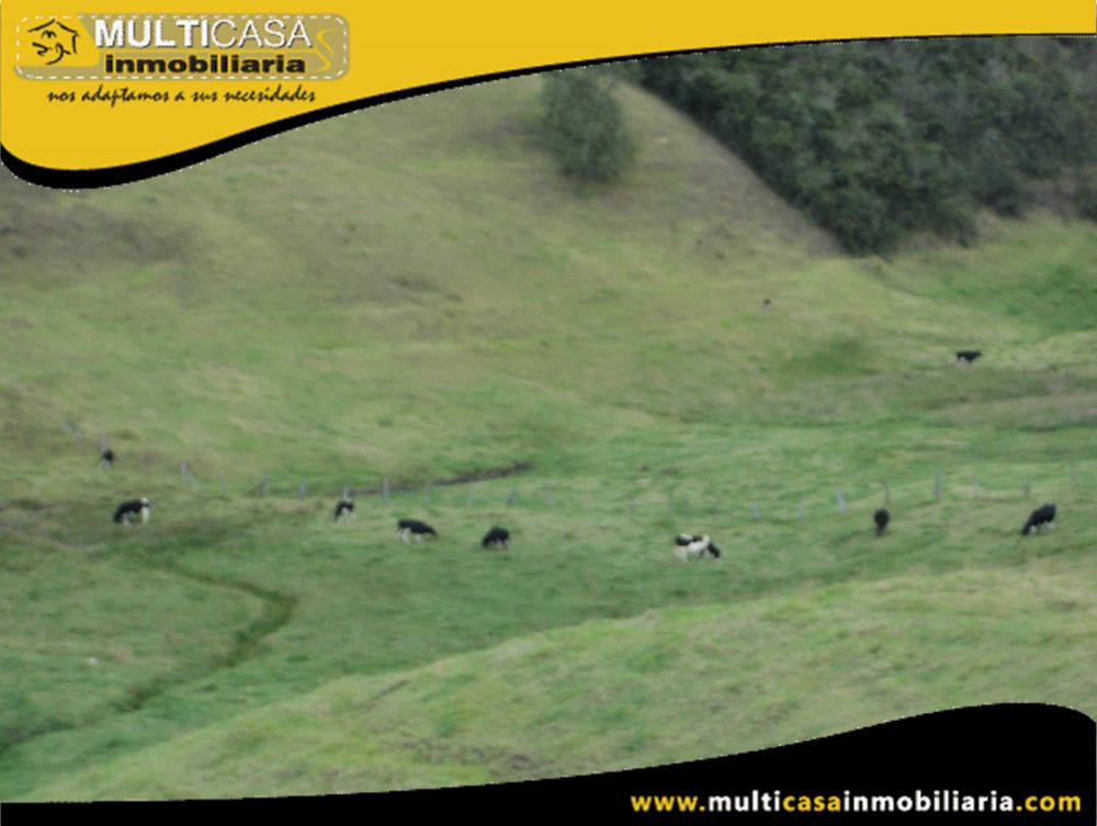 Terreno en Venta a Crédito Sector Totorillas Tarqui -Ecuador