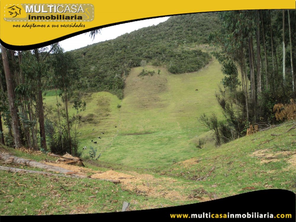 Terreno en Venta a Crédito Sector Totorillas Tarqui -Ecuador