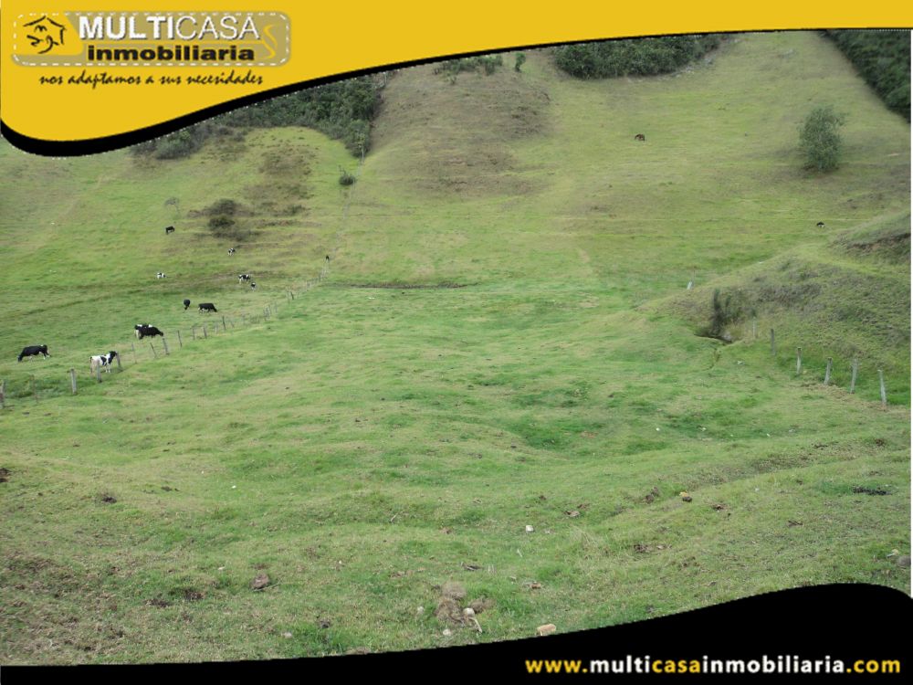 Sitio en Venta a Crédito Sector Totorillas Tarqui-Ecuador