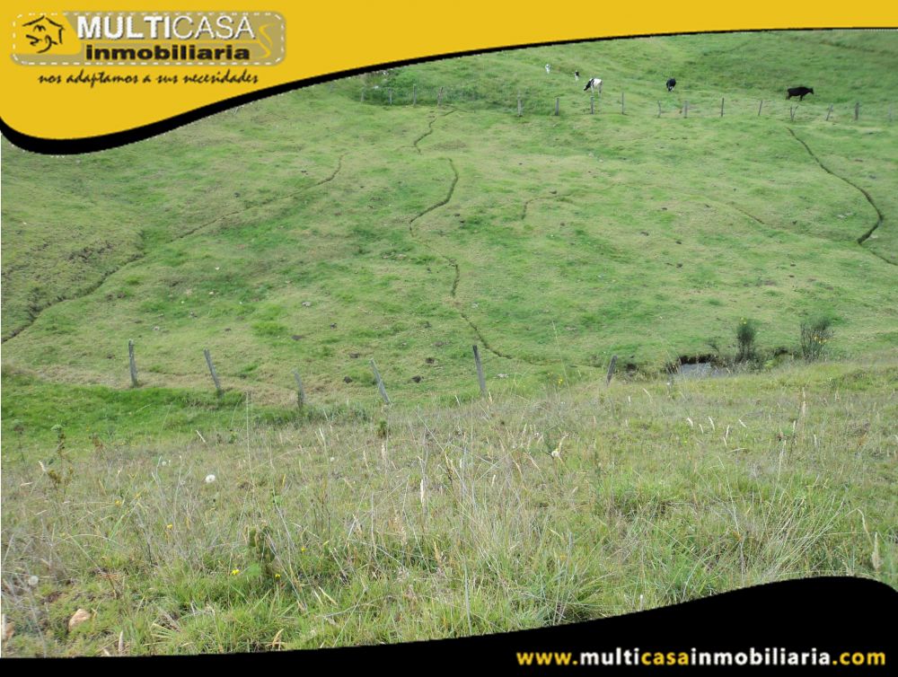 Sitio en Venta a Crédito Sector Totorillas Tarqui-Ecuador