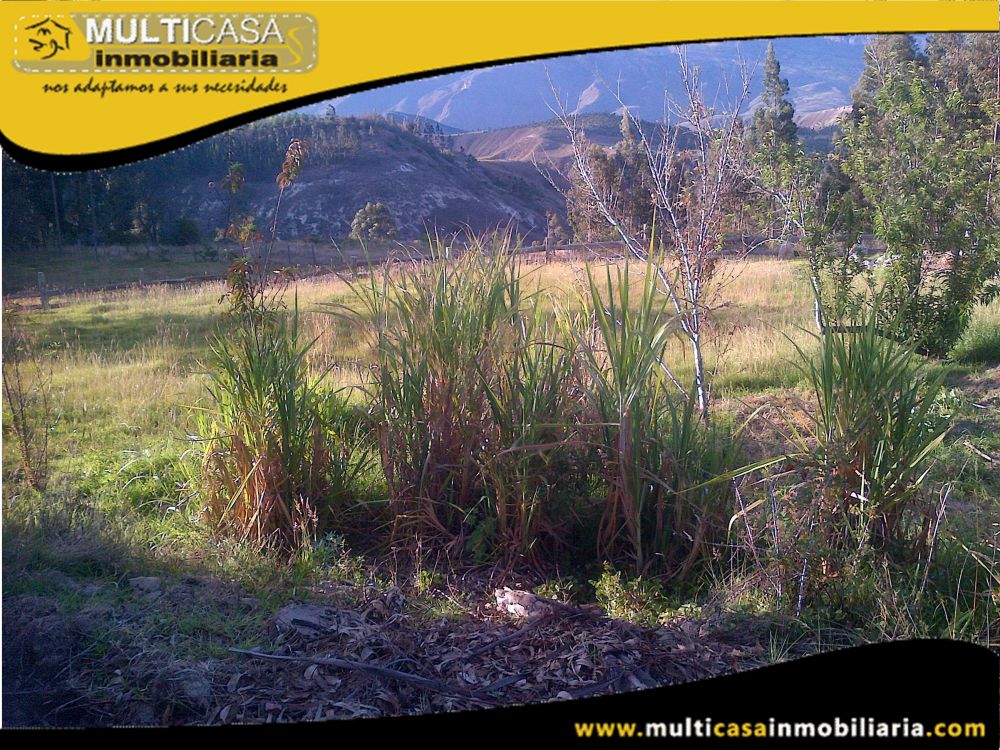 Sitio en Venta a Crédito con vertiente propia  Sector Oña-Ecuador