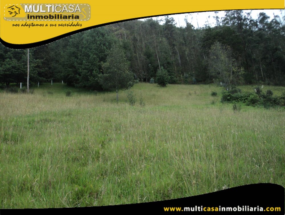 Terreno en Venta a Crédito Sector Tarqui Cuenca-Ecuador