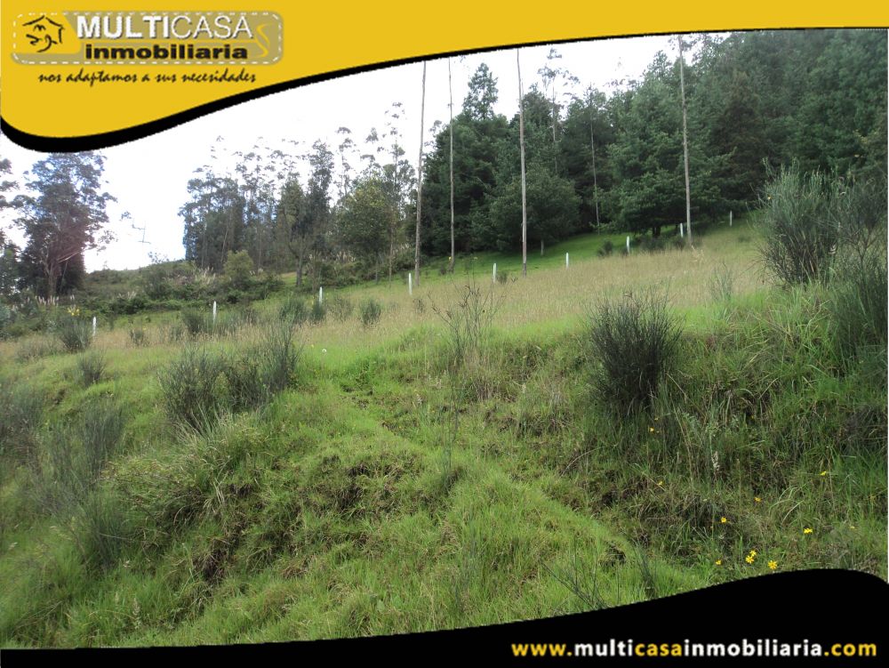 Terreno en Venta a Crédito Sector Tarqui Cuenca-Ecuador