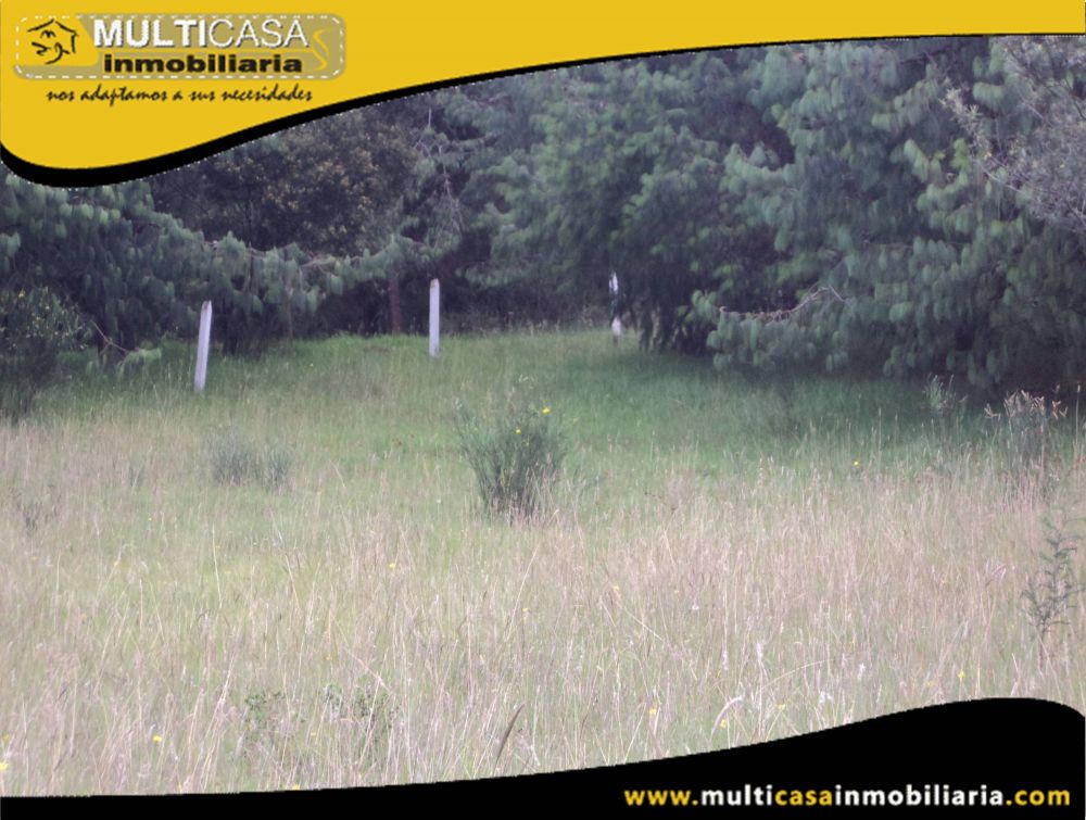 Terreno en Venta a Crédito Sector Tarqui Cuenca-Ecuador