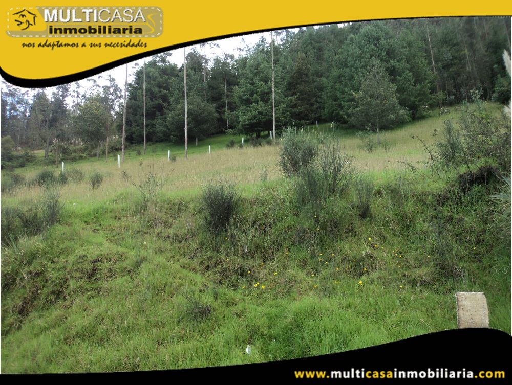Terreno en Venta a Crédito Sector Tarqui Cuenca-Ecuador