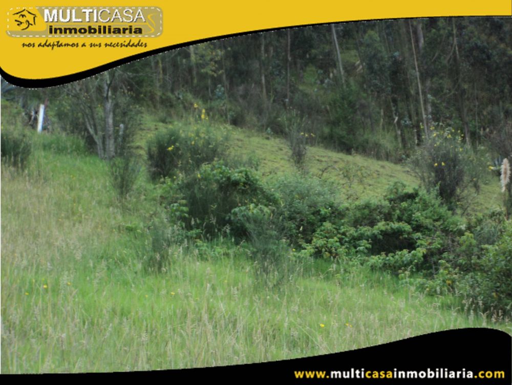 Terreno en Venta a Crédito Sector Tarqui Cuenca-Ecuador